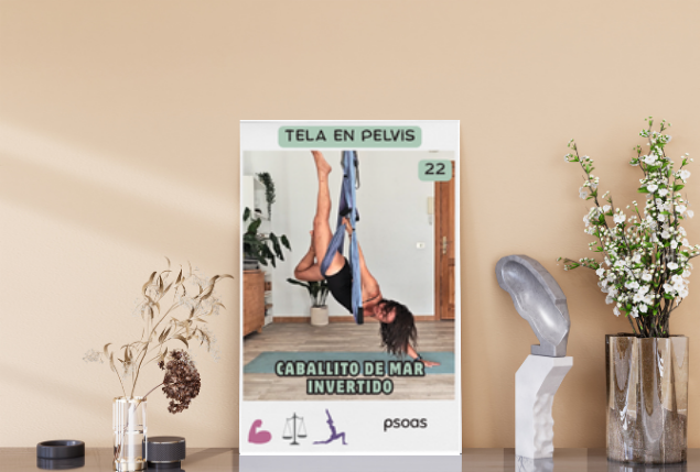 Mazo de Yoga Aéreo “Órbita Estable”: Equilibrio y propiocepción – PDF Digital para Instructores y Practicantes